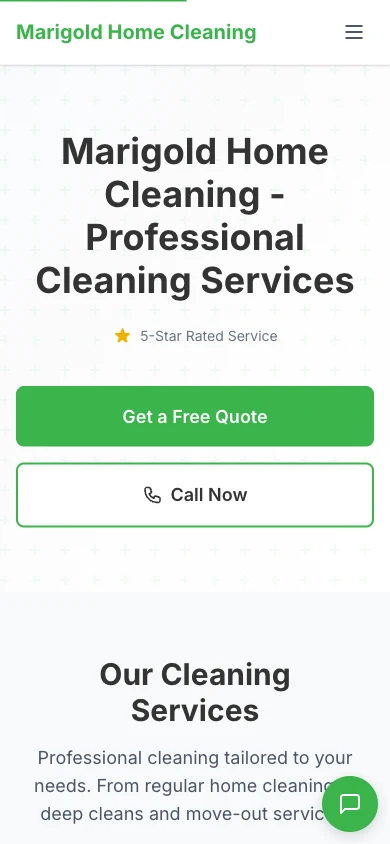The same CleanRev website on a phone — fully responsive